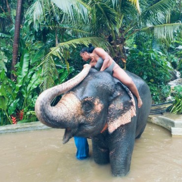 ELEPHANT FEEDING – BUGGY – GO KART – ATV By ATV SEA ON TOUR