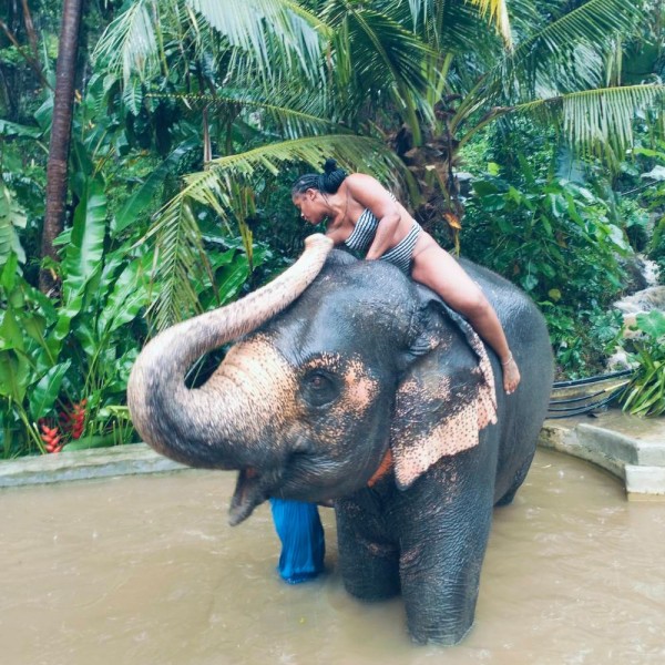ELEPHANT FEEDING – BUGGY – GO KART – ATV By ATV SEA ON TOUR