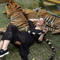 TIGER KINGDOM