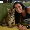 TIGER KINGDOM