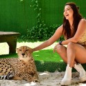 TIGER KINGDOM