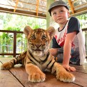 TIGER KINGDOM
